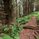 Tolkienesque trail along the coast.