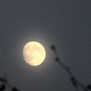 Vollmond am späten Abend ...