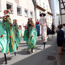 die Stelzer