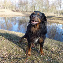 Mein schöner, großer Rudi! Lacht  auch  wegen dem Wetter!