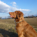 Ostern 2013 Sitka