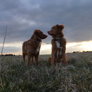 Ostern 2013 Nita und Sitka