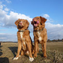 Ostern 2013 Nita und Sitka, ein schönes Gespann!