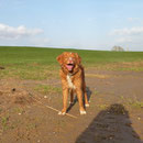 Sitka lacht sich einen:-)