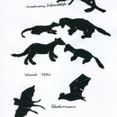 opfweiden liebende Tiere
