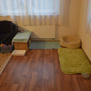 Unser Welpenzimmer