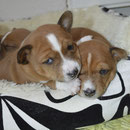 und hier die Jungs beim Schlafen