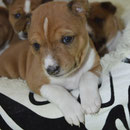 Unser Prinzessien Abby