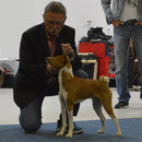 Diego beim Stellen