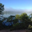 Bassin de Réaltor