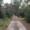 Beau chemin, mais je ferai un détour d'un kilomètre