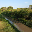 Canal de Miramas