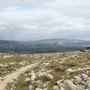 Peu de végétation à cette altitude