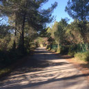 Route de Bibemus