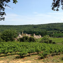Chartreuse de Valbonne vue d'en haut