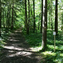 Traversée de forêts pour arriver à Périgueux