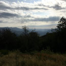 Forêt domaniale de l'Espinouse