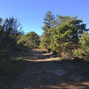 Descente vers le Plan d'Aups