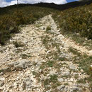 Superbe chemin sans personne