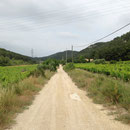 Vignes de Chateauneuf les Martigues