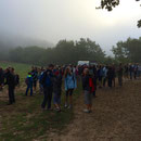 Un peu de brume le matin