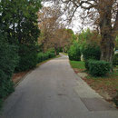 Le parc Saint Cyr