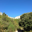 Je sors de la foret et arrive dans la garrigue