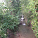 Bois de Boulard