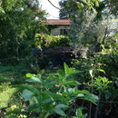 L'Arche de Noé