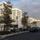 Suite aux Docks de nouveaux immeubles