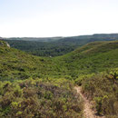 Montée vers la corniche de Vitrolles