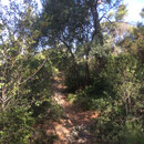 Le chemin commence