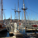 Le Marseillois coulé dans le vieux port