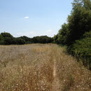 Passage dans des champs