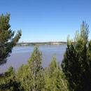 Etang de Citis