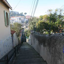 Rue Massaliotte, 156 marches