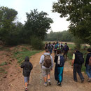 De la marche à un bon rythme