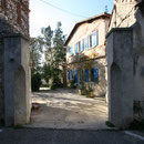 Rue Protis