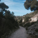 Descente vers le vallon d'En Vau