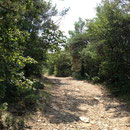 Entrée dans la forêt de Valbonne