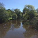 La Tardoire
