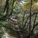 Chemin bien entretenu