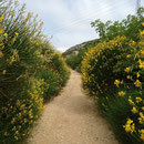 Le sentier vers Martigues