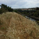 Canal du Rove