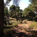 La traverse des Fraises qui longe l'A7