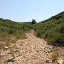 Vallon des Muets