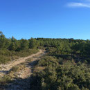 Je grimpe en direction du massif de l'Etoile