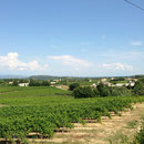 Le clocher de mon village au loin