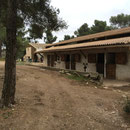 Le poney club où je me suis égaré