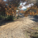 Agréable chemin au soleil
